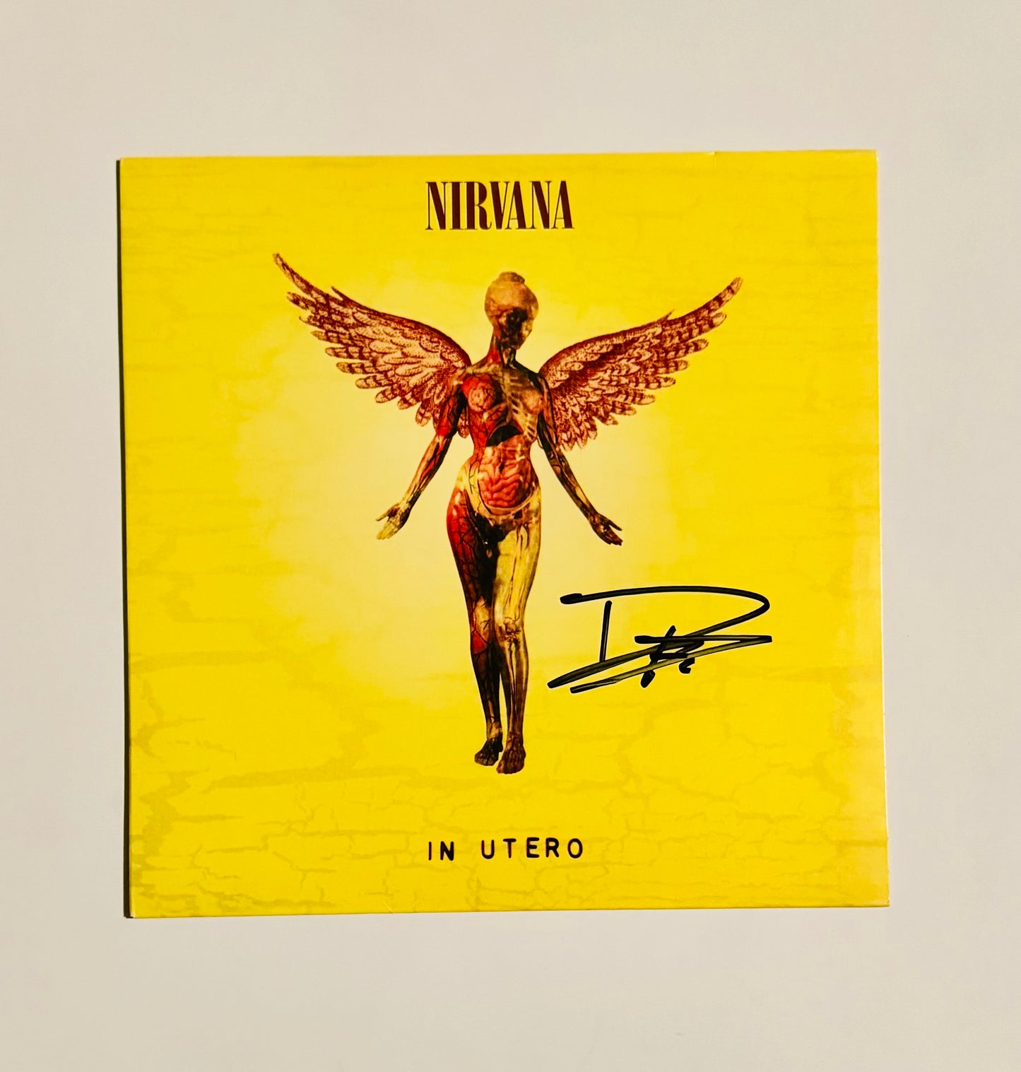 Nirvana Dave Grohl Autographed LP Cover With COA